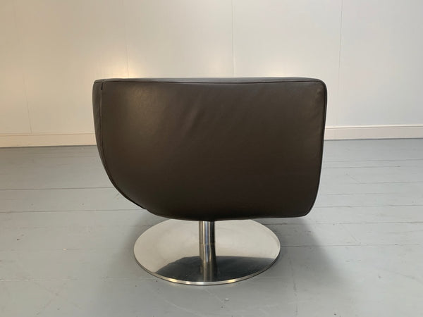B&B Italia Tulip Armchair - In Dark Brown Gamma Leather @ REHAUS