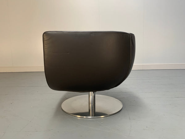 B&B Italia Tulip Armchair - In Dark Brown Gamma Leather @ REHAUS