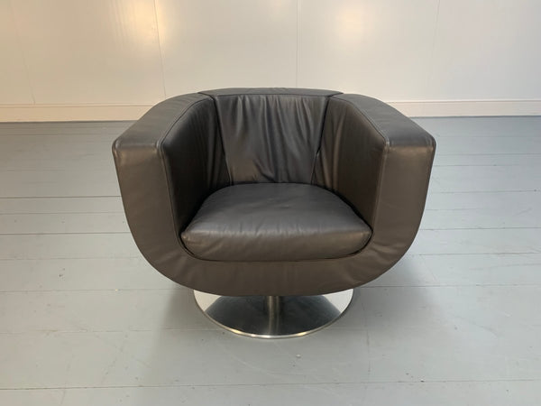 B&B Italia Tulip Armchair - In Dark Brown Gamma Leather @ REHAUS