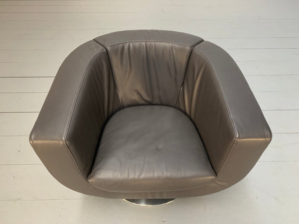 B&B Italia Tulip Armchair - In Dark Brown Gamma Leather @ REHAUS