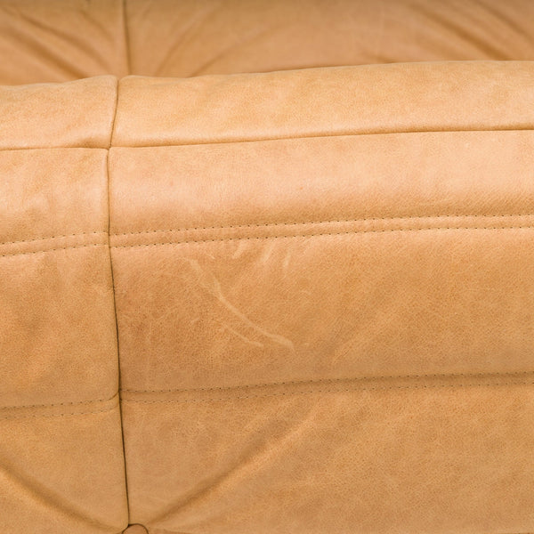 Pre Order Ligne Roset by Michel Ducaroy Camel Brown Leather Togo, Set of four @ REHAUS