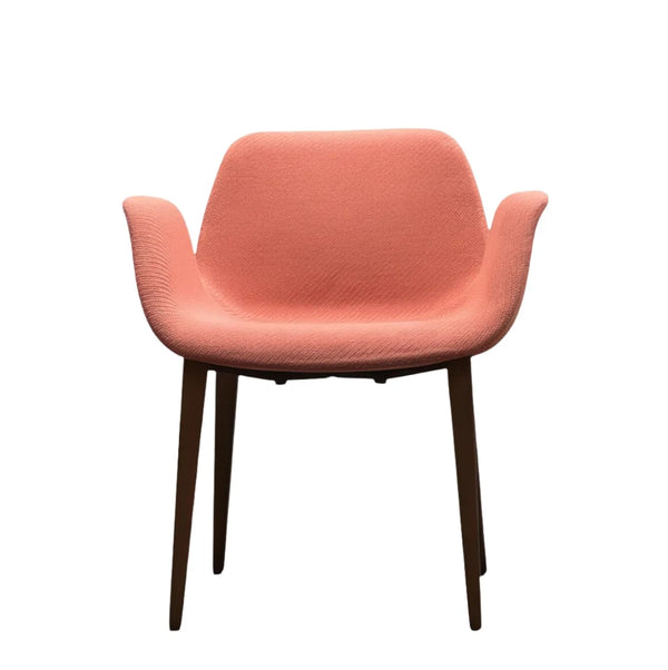 Koleksiyon Halia Shell Chair