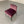 B&B Italia Maxalto Eunice Occasional Chair - In Purple Stripe - Velvet @ REHAUS
