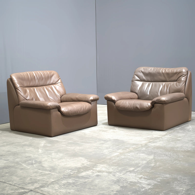 De Sede DS - 66 Armchair - REHAUS - De Sede