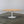 Knoll Saarinen Oak Oval Dining Table @ REHAUS