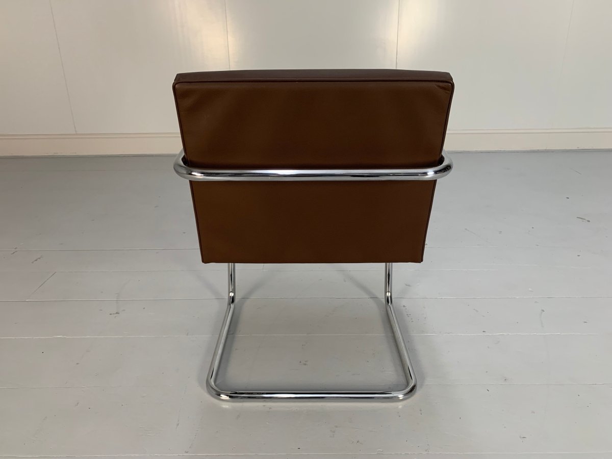Knoll Studio Brno Tubular Lounge Chair Armchair - in Mid Brown Leather @ REHAUS